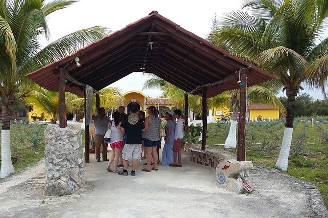 Private Jeep Excursion in Cozumel with Lunch and Snorkeling - How the 5-to-6-Hour Route Flows (And Why the Order Helps)