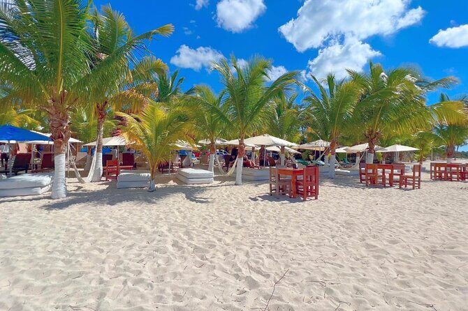 Private Jeep or Buggy Tour Snorkeling Maya Park and Tacos - Yucab Reef snorkeling: calm water, clear time, and a safety-first guide