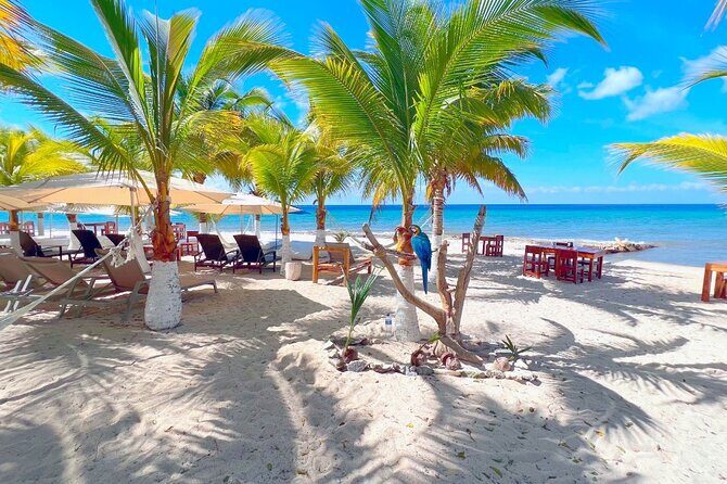 Private Jeep or Buggy Tour Snorkeling Maya Park and Tacos - Playa Publica San Martin: beach lunch on the other side of the island
