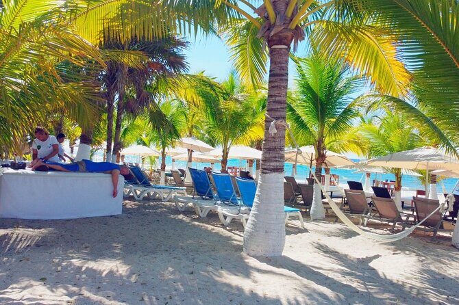 Private Jeep or Buggy Tour Snorkeling Maya Park and Tacos - Language and guide style: English-led days and the risk of mismatch