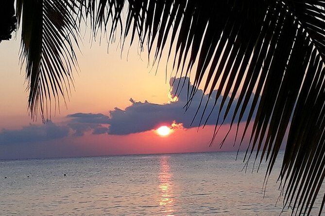Private Jeep Tour in Cozumel - Quick scenic breaks: Playa Publica San Martin and Playa Chen Rio (Stops 3 & 4)