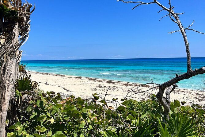 Private Mayan Ruins Tour with Cenote/caves and Mexican Picnic - Lunch on the beach: Mexican picnic-style energy, not a food rush