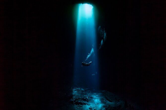 Private Scuba Diving in Cenote around Playa del Carmen - Starting at the shop in Playacar: what your morning actually looks like