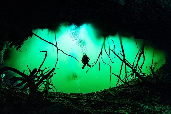 Private Scuba Diving in Cenote around Playa del Carmen - Two underwater sessions around 45 minutes: how the timing works