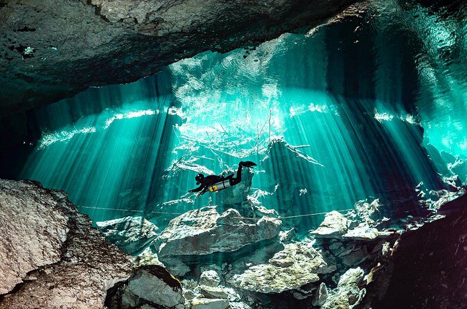Private Scuba Diving in Cenote around Playa del Carmen - Who should book this, and who might want a different plan