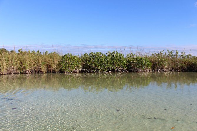 Private Sian Kaan Muyil Lazy River Tour - Price and value: what you’re really paying for