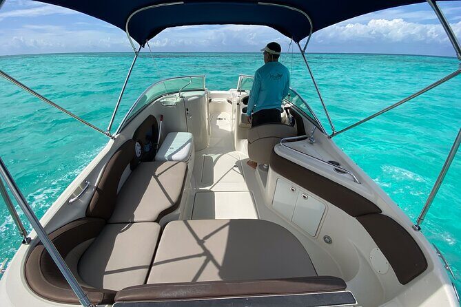 Private snorkeling with 23ft Sea Ray in San Miguel de Cozumel - What you might see: fish, turtles, and the occasional shark