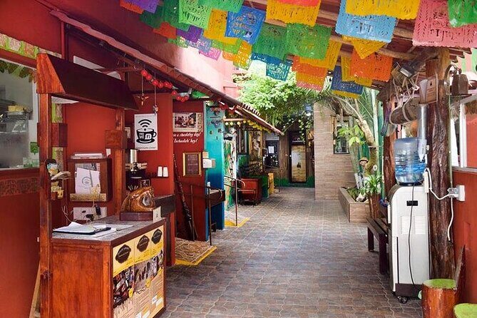 Private Tour: 5-Hour Cozumel Sightseeing with Private Driver and Tequila Tasting - Why This 5-Hour Private Cozumel Route Feels Efficient