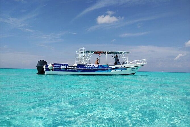 Private Tour in Cozumel El Cielo Sandbar and Reef Snorkeling - El Cielo Starfish Bay: shallow sand, white bottom, and 45 minutes to enjoy it