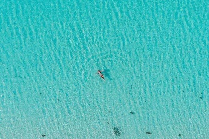 Private Tour in Cozumel El Cielo Sandbar and Reef Snorkeling - Price and value: who this private tour makes sense for