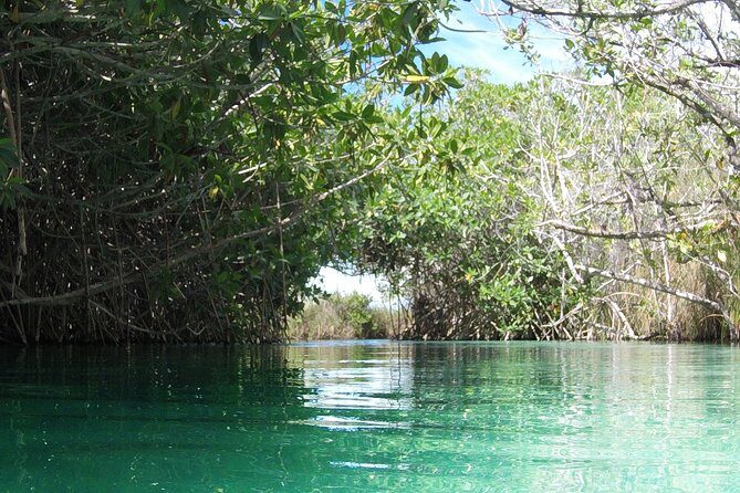 Private tour of Tulum Archaeological Site & Sian Ka'an Muyil - Why this Tulum + Sian Ka’an combo feels worth your time