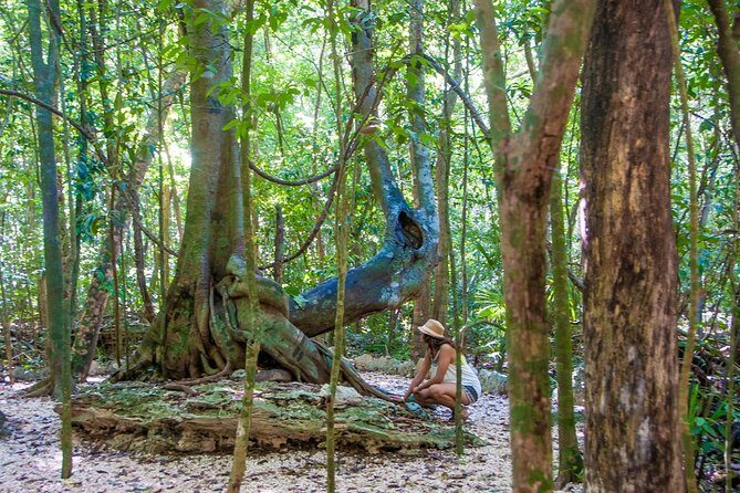 Private tour of Tulum Archaeological Site & Sian Ka'an Muyil - The 7:30am start and how to make the day feel smooth