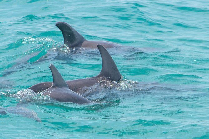 Private tour - Sian Ka´an Adventure - Boca Paila lagoons: snorkeling gear, wildlife odds, and weather reality