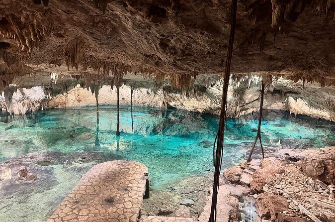 Private Tour : Swim with Sea Turtles in Akumal + Two Cenotes - Price and value: what $205 per person really covers