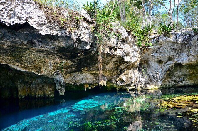 Private Tour The Best Cenotes in Tulum Riviera Maya - Key Things I’d Plan Around