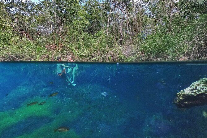 Private Tour The Best Cenotes in Tulum Riviera Maya - Gran Cenote Snorkel Stop: The Included Ticket Moment