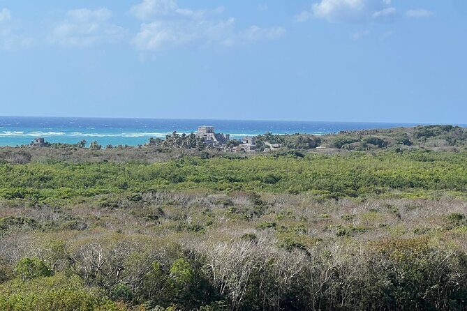 Private Tour to Tulum and Swimming with Turtles in Akumal - Optional extra fees: Akumal Park and Jaguar Park