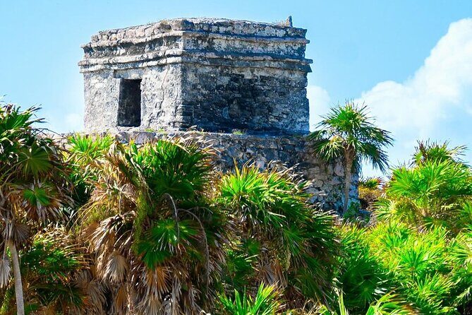 Private Tour to Tulum, Cenote and Swimming with Turtles - Optional lunch with tacos on the way back