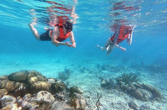 Private Tour Tulum Ruins and Snorkeling in National Park - Price and value: what $195 really buys you