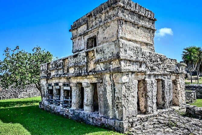 Private Tour Tulum Tortugas Cenote Beach All Inclusive - Playa del Carmen pickup and a day that moves at human speed