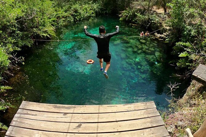 Private Tour Tulum Tortugas Cenote Beach All Inclusive - Price and value: is $250.89 per person actually fair?