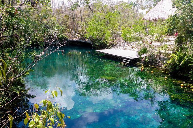 Private transfer for 5 hours (go dinner,cenotes, shopping and more) - Price and value: $299 for up to 10 is the real bargain math