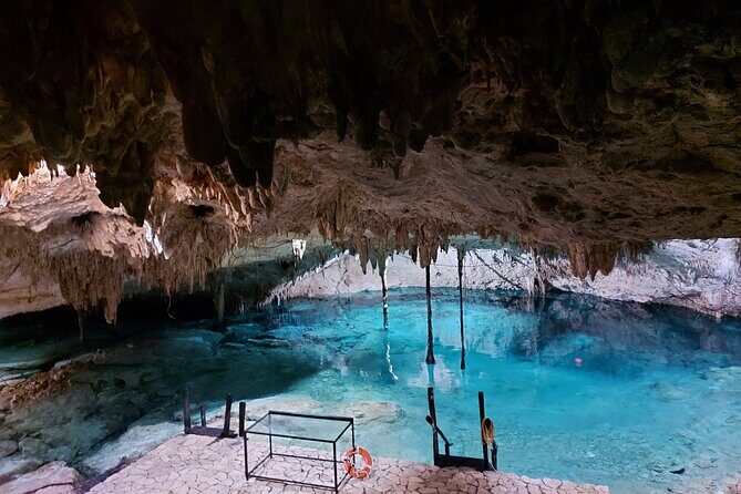 Private Tulum & Cenotes tour - Stop 2: Casa Cenote snorkeling in mangrove country