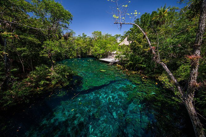 Private - Tulum Ruins and 3 Cenotes Jungle Adventure - Stop 2: Tankah Tres jungle adventure and the 3 cenotes sequence