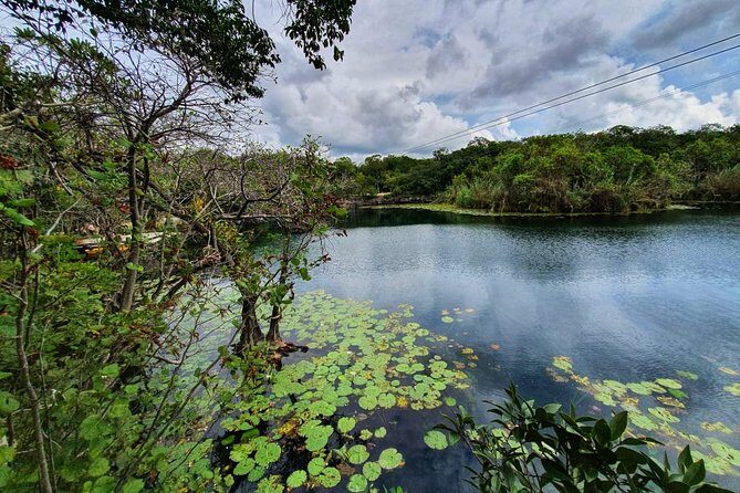 Private - Tulum Ruins and 3 Cenotes Jungle Adventure - Snorkeling in cenotes: what’s different from ocean snorkeling