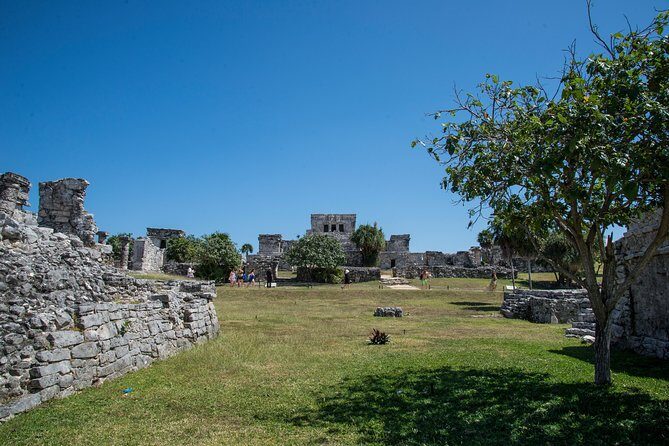 Private Tulum Ruins, Turtles in Akumal and Cenote Adventure - Cenote Ocean Tours Mexico: fresh-water cave swimming with lights