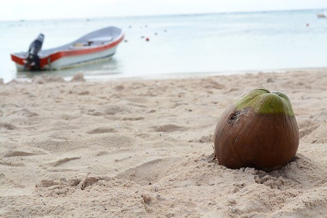 Private Turtles & Cenotes Adventure - How the Half-Day Plan Fits a Real Vacation Schedule