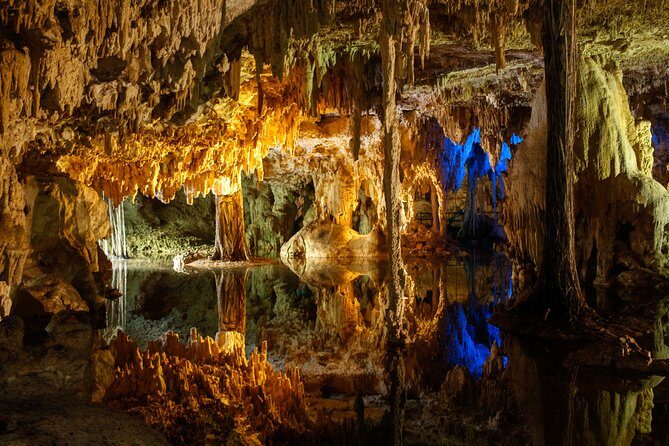 Private Turtles & Cenotes Adventure - Puerto Aventuras: Why a Starting Point Helps