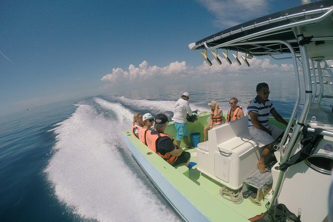 Private Whale Shark All Inclusive Experience - Swimming with whale sharks: what the guides actually manage