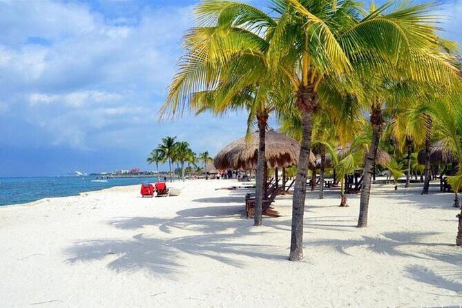 Rental Jeep Wrangler 4-Door Automatic 24h Cozumel Excursion - Who this Jeep rental is best for (and who should skip it)