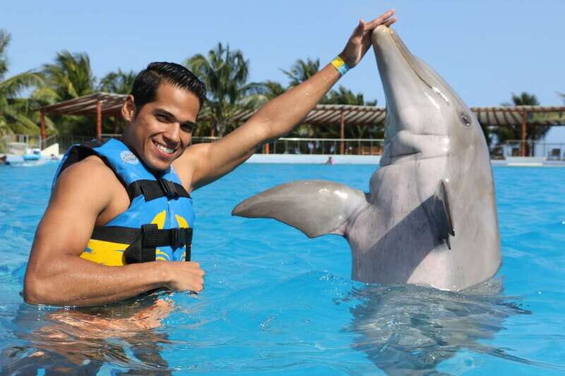 Riviera Maya: Dolphin Encounter with Beach Club Access - What the 1-Day Dolphin Encounter Really Feels Like