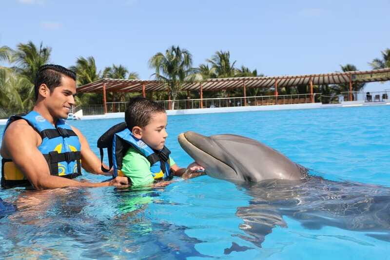 Riviera Maya: Dolphin Encounter with Beach Club Access - Getting there on Highway 307: how to find Dolphin Discovery Maroma