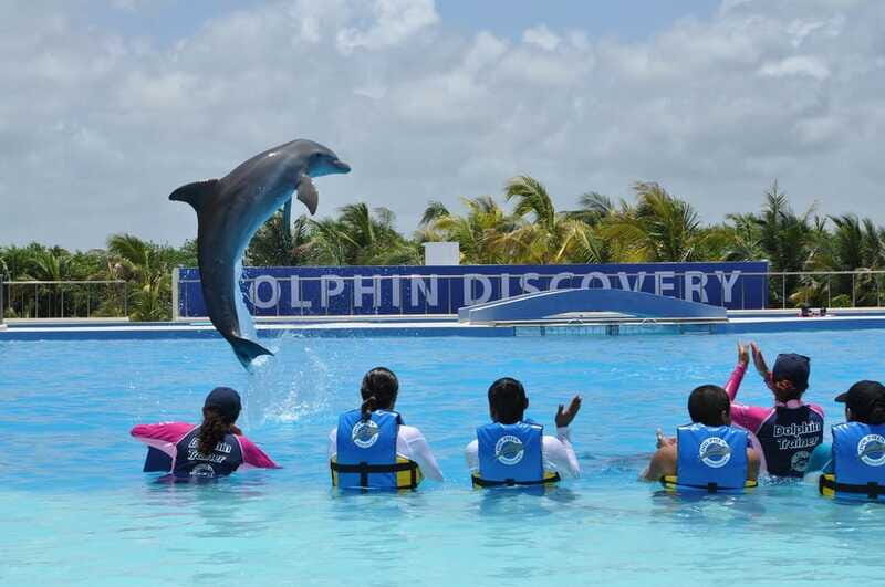 Riviera Maya: Dolphin Encounter with Beach Club Access - Who this experience fits best in Riviera Maya
