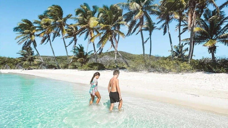 Riviera Maya: Isla Contoy and Isla Mujeres Full-Day Tour - Price and Value: Is $180 a Smart Deal?