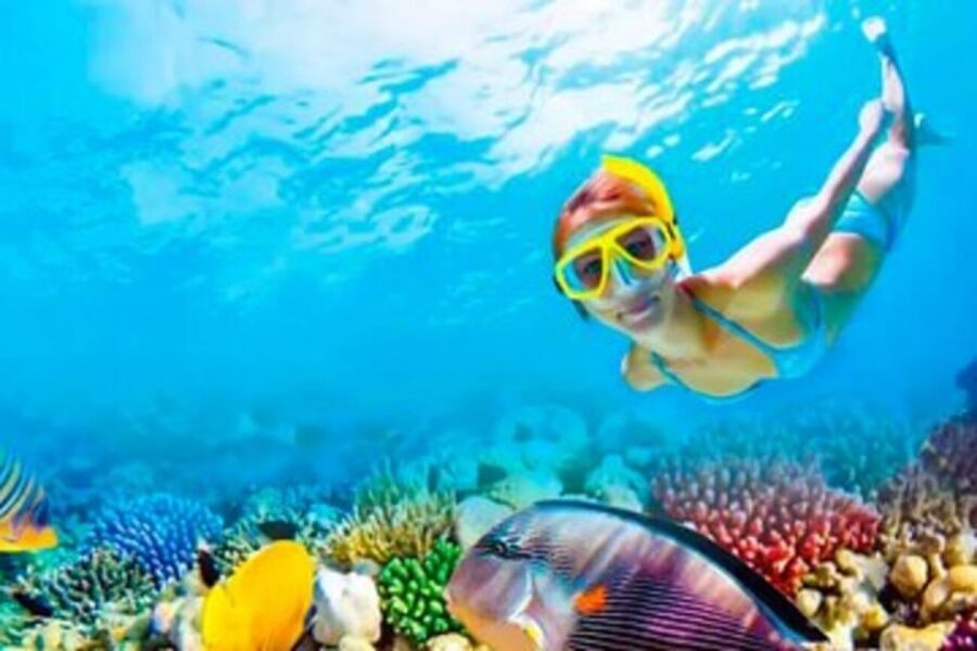 Riviera Maya: Isla Contoy and Isla Mujeres Full-Day Tour - Snorkeling Isla Contoy: Protected Nature Meets the Reef