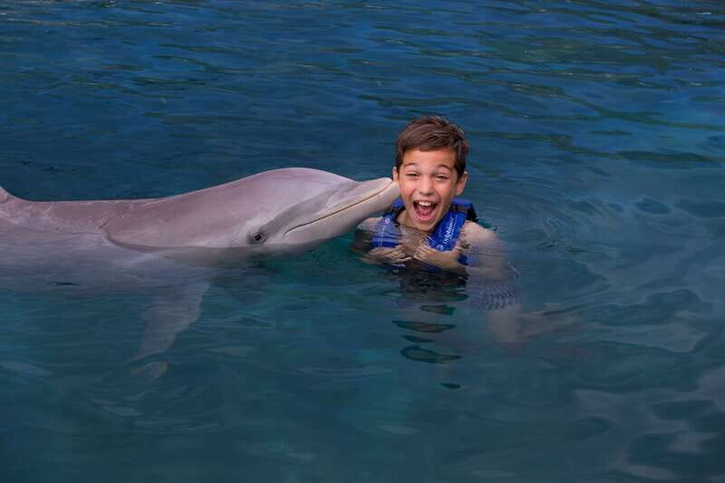 Riviera Maya: Swim with dolphins Interax - Your 45 minutes: what happens before you go in