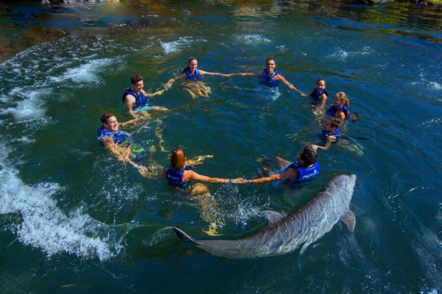 Riviera Maya: Swim with dolphins Interax - The 30 minutes in the water: 14 activities that keep you engaged