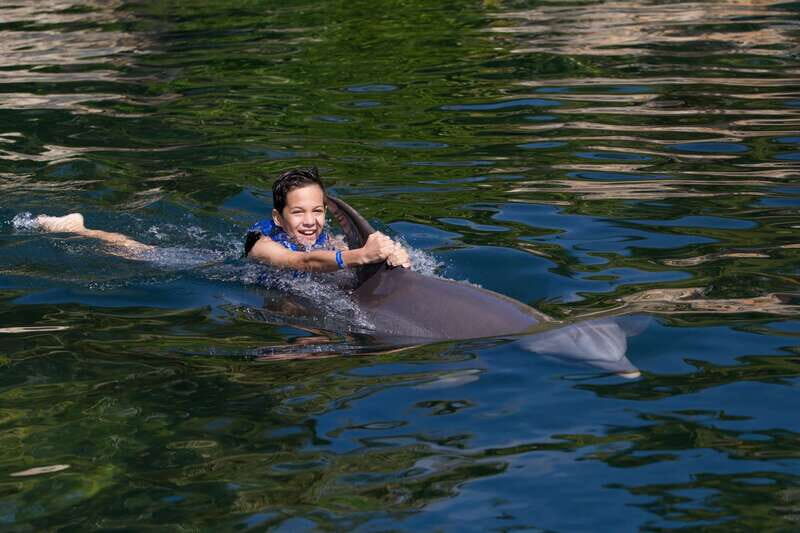 Riviera Maya: Swim with dolphins Interax - Touch, rules, and animal-safety realities in the habitat