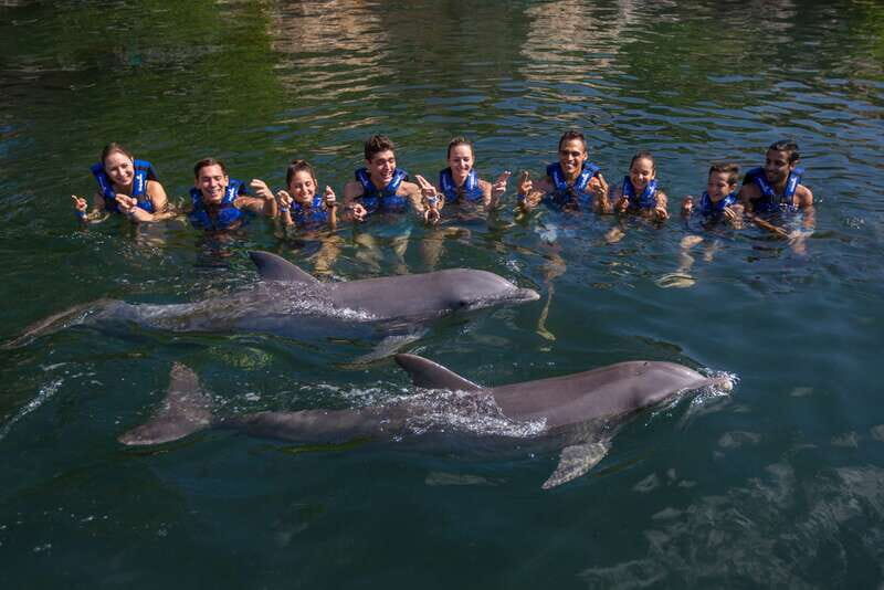Riviera Maya: Swim with dolphins Interax - Small group experience: the difference it makes