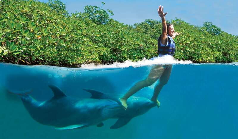 Riviera Maya: Swim with dolphins Primax - Key things that make Primax worth your attention