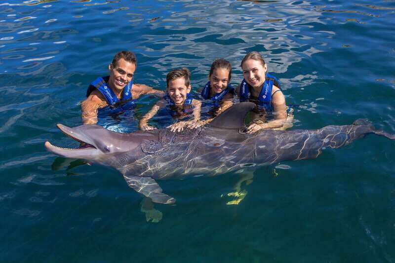 Riviera Maya: Swim with dolphins Primax - Inside the 18 dolphin activities: what you’ll actually do