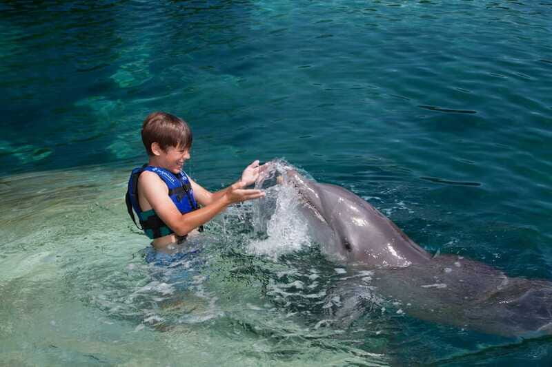 Riviera Maya: Swimming Experience with Dolphins - Languages and group size: why it feels less chaotic