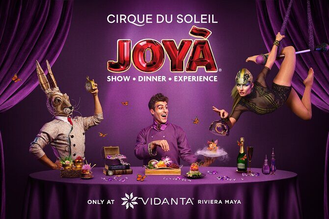 Round-Trip Hotel Pick up + Cirque du Soleil JOYÀ Tickets - Playa del Carmen pickup: the part to treat as serious business