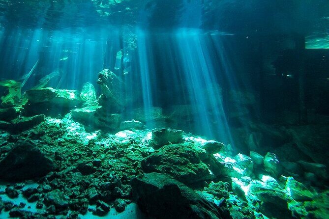 Scuba Diving in Cenote Dos Ojos from Playa del Carmen - Cenote Dos Ojos: What You’re Really Signing Up For