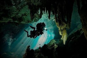 Scuba Diving in Cenote Dos Ojos from Playa del Carmen - The Drive Brief: History, Program, and Comfort Tips