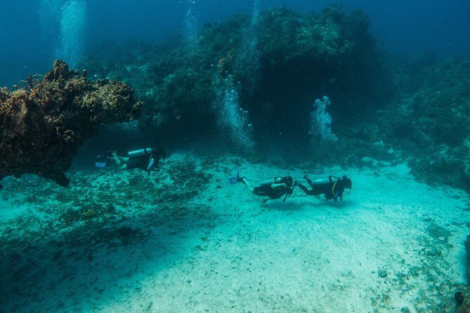 Scuba Diving in Cozumel Island - The long snack break between reef stops is part of the deal